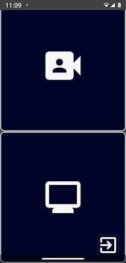 Remote Video Camera screenshot