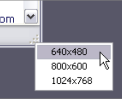 Window Resizer Pro