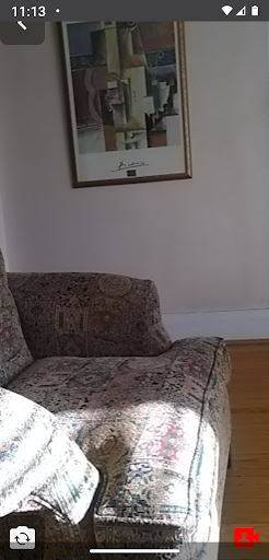 Remote Video Camera screenshot